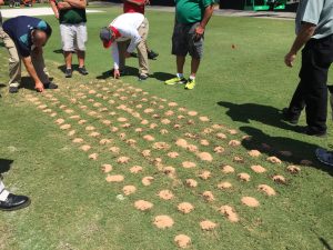 20160315_175221393_iOS